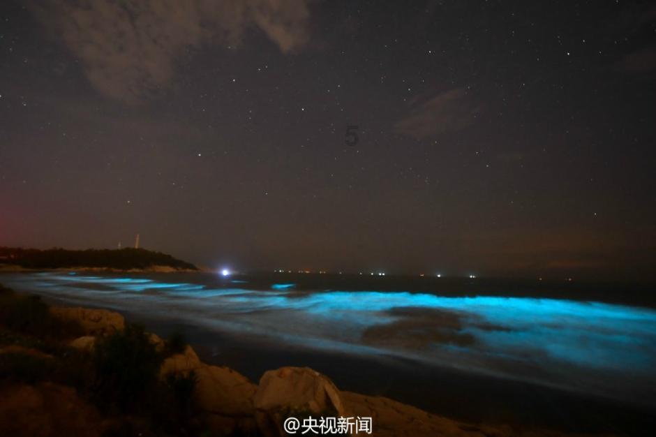 解答万物,尽在21三体综合症是什么?蜗牛问答平台